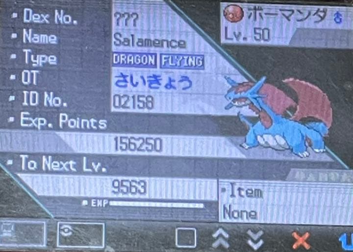 正規品】 ポケットモンスター ブラック 海外版 北米版 英語版 nds