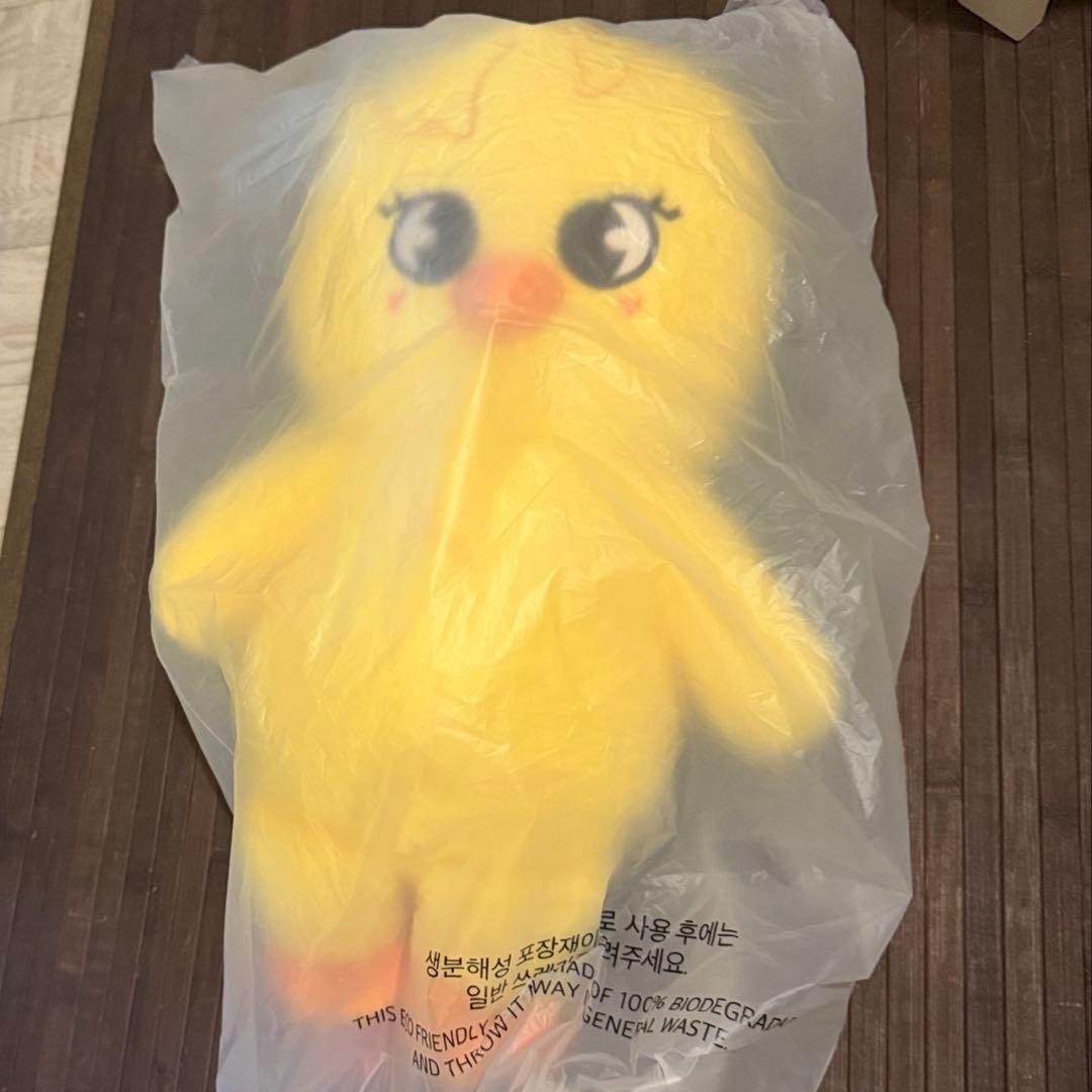 straykids SKZOO PLUSH テディベア ポガリ - メルカリ