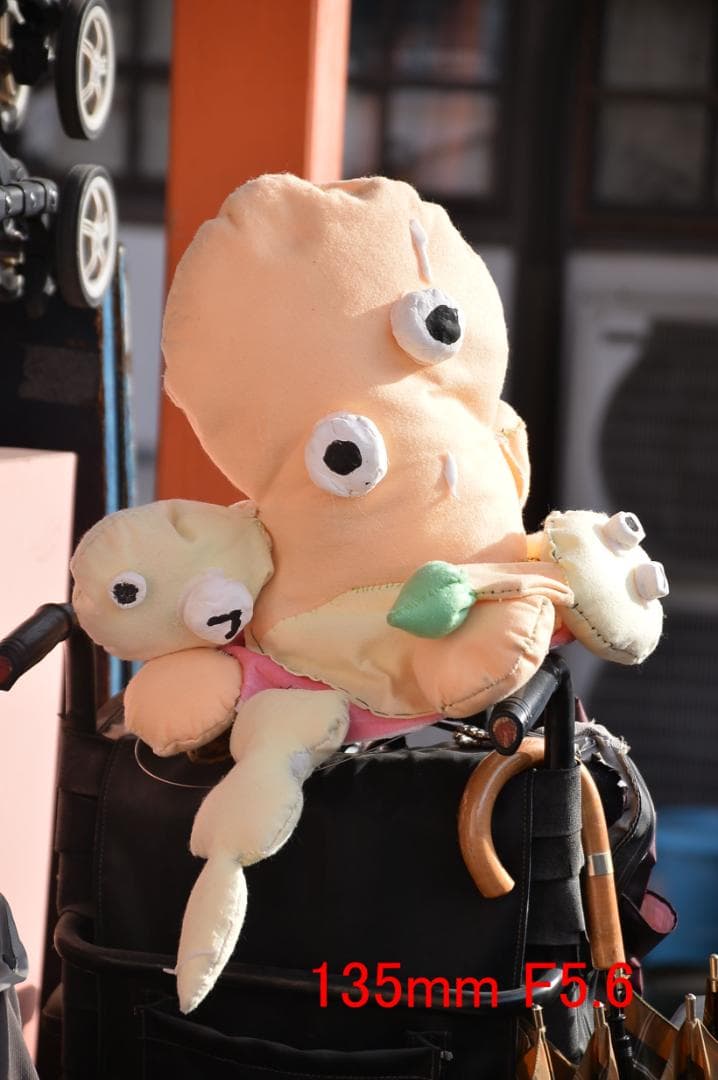 TAMRON SP 24-135mm F3.5-5.6 Nikon 50周年記念