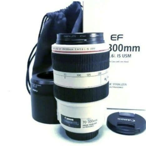 超美品　Canon EF 70-300mm f/4-5.6 IS USM ズーム