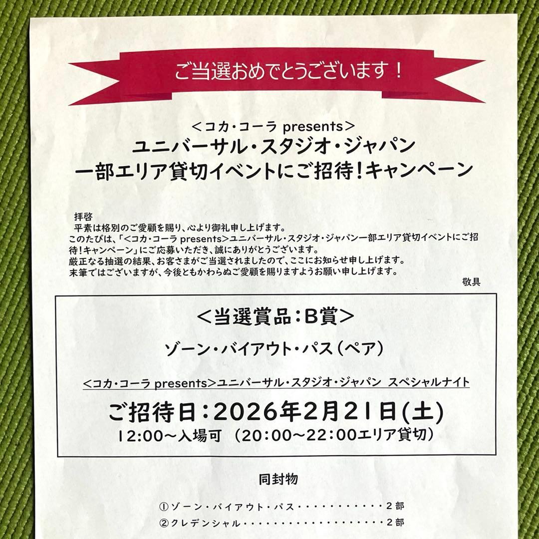 2026年2月21日(土) USJ 貸切ナイト ペアチケット - メルカリ