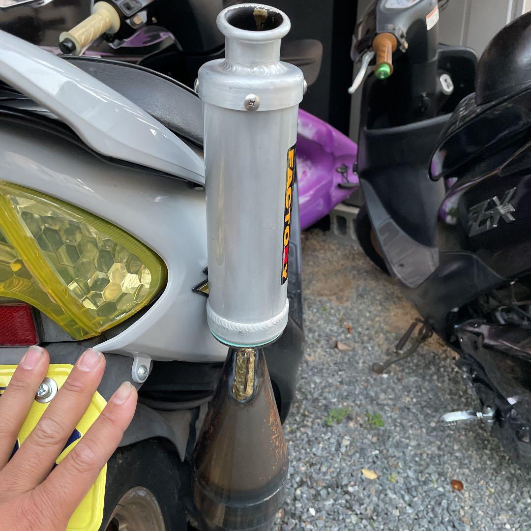 ライブディオZX カメレオンファクトリー - メルカリ