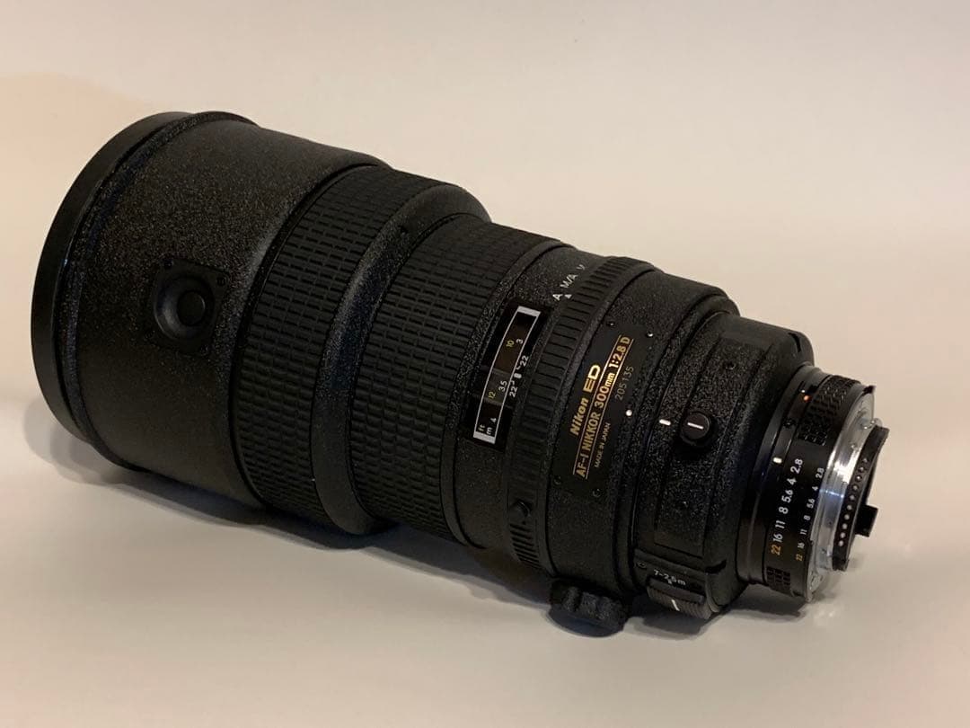 ニコン　Ai AF-I NIKKOR 300mm F2.8D サンニッパ レンズレビュー】Ai AF-S NIKKOR 300mm F2.8D ED｜鷺