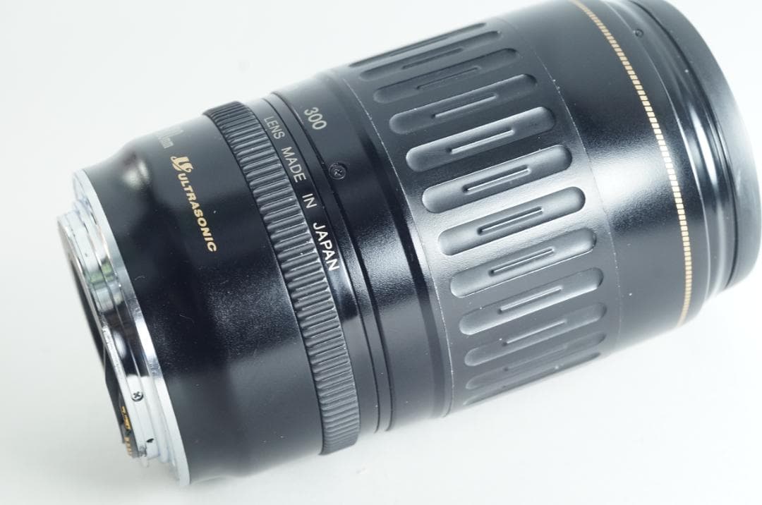 遠く 望遠レンズ Canon EF100-300mm F4.5-5.6 USM