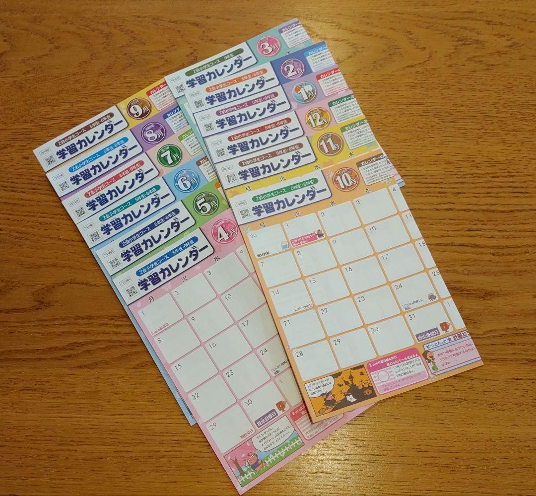 Z会 小5 エブリスタディ 2024年4月-2025年3月 最新版