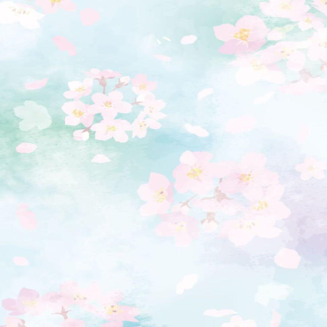 マクセリー ローション500ml＋クレンジング500gセット 楽天市場】マクセリー クレンジングの通販