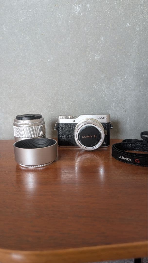 LUMIX G ミラーレス一眼カメラ レンズ2本付き　DC-GF9W 概要 デジタル一眼カメラ/ダブルレンズキット DC-GF9W | LUMIX