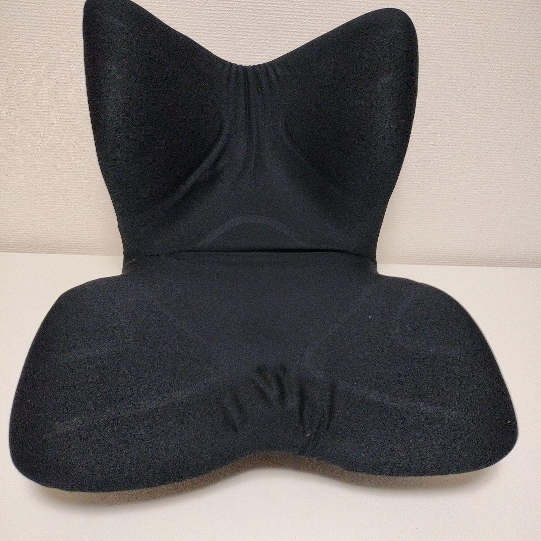 style premium スタイルプレミアム ブラック MTG 姿勢サポートシート Style PREMIUM DX 2スタイルプレミアム