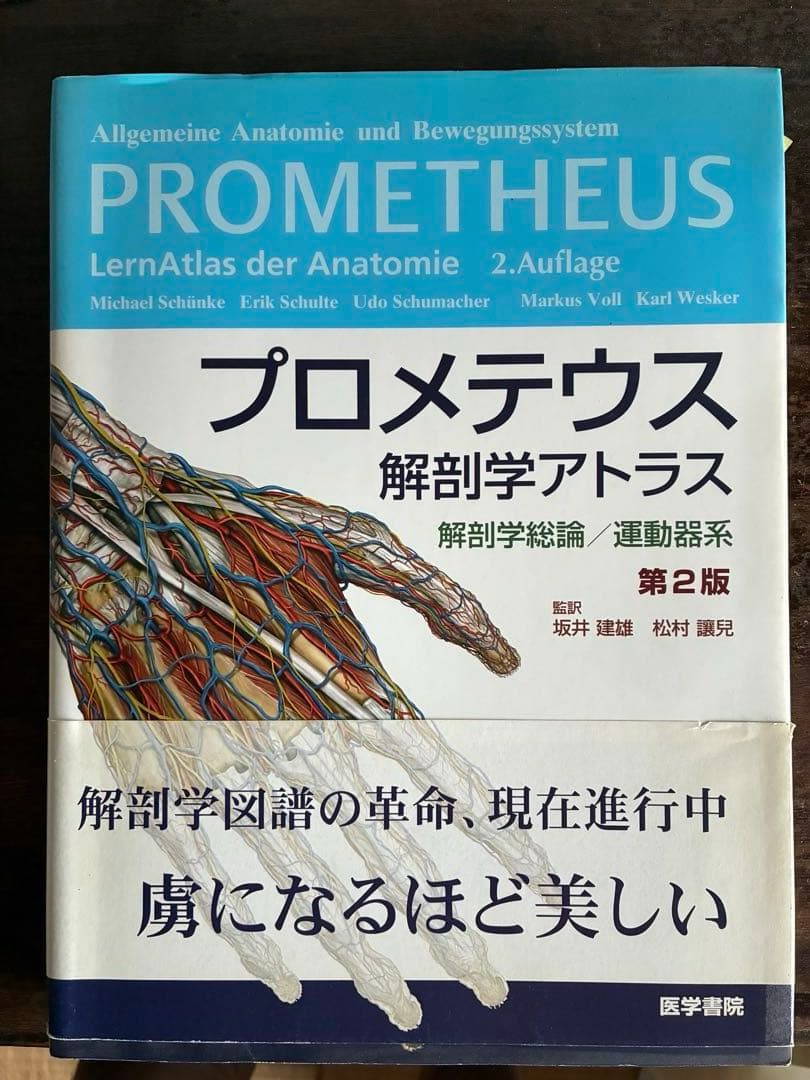 解剖学アトラス　人体の構造　大型本５冊セット エッセンツァ人体解剖学アトラス | 大塚愛二, 佐藤二美, 大塚愛二