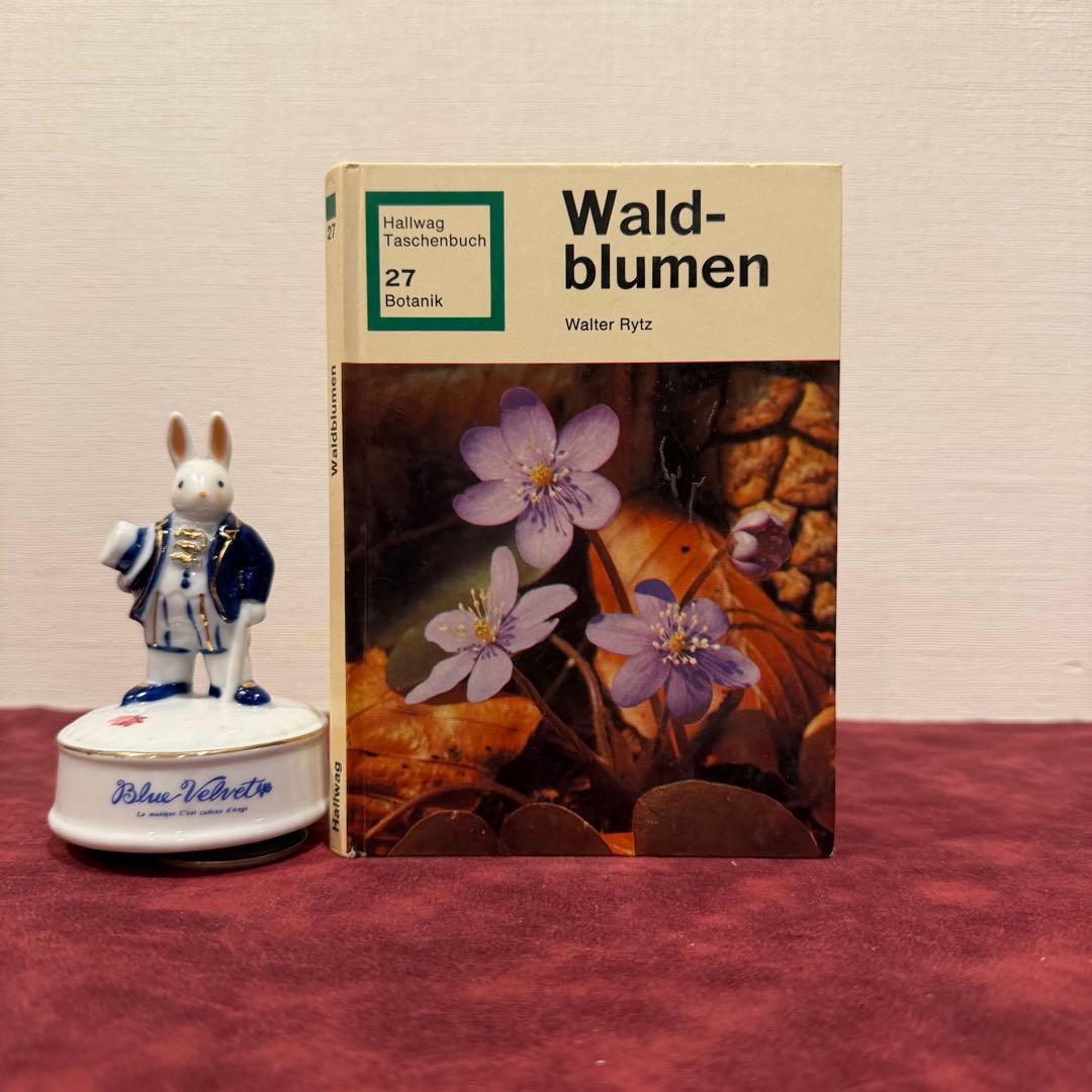 224⑨1973年ドイツ語植物図鑑 洋書古書 ジャンクジャーナル ボタン