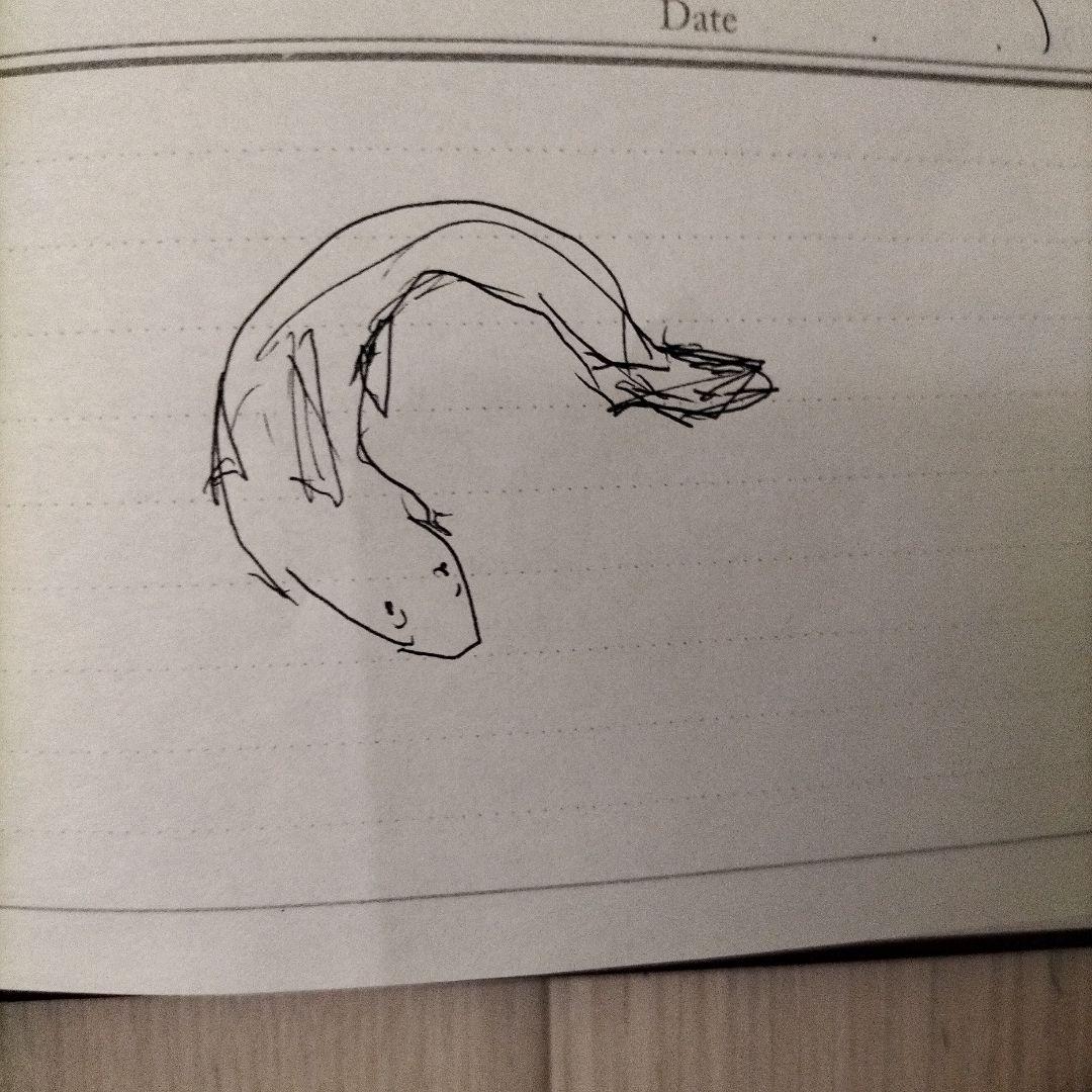 馬 原画 額装済 ゴルシ mana様専用