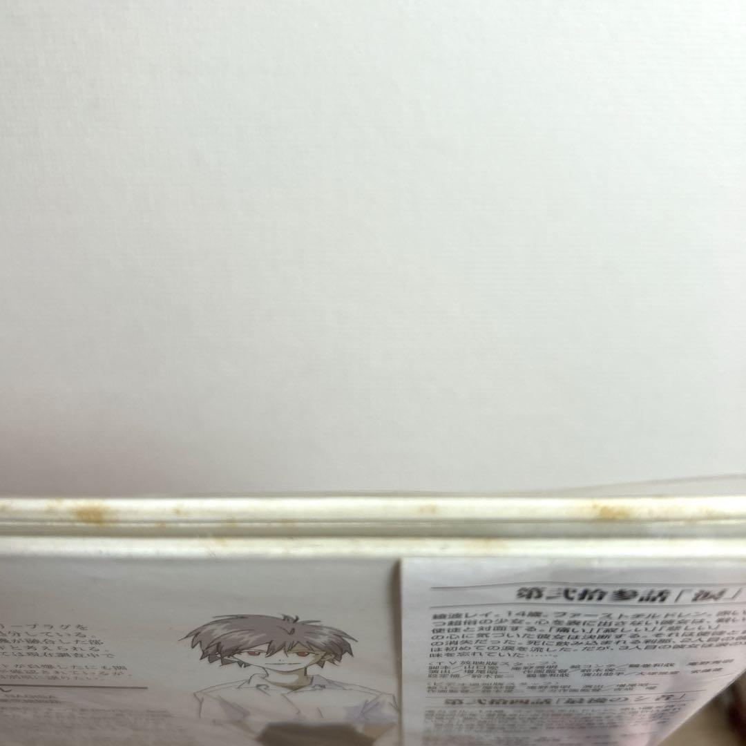 アニメLD【新世紀エヴァンゲリオン】全巻 特製ピンナップ付き レーザー