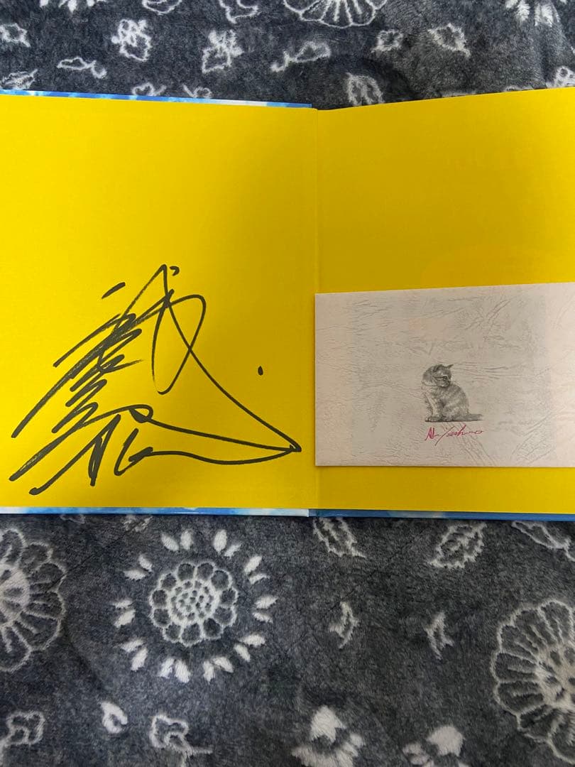 八代亜紀 ミュージアム 本 絵画 ミリオンアート 猫 動物 絵本 直筆