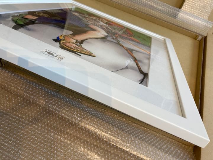 荒木飛呂彦原画展『ジョジョ展 in TOKYO』複製原画 【徐倫