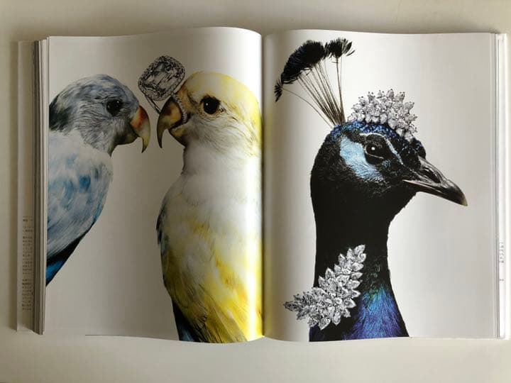 HARRY WINSTON 写真集 RIZZOLI 2012 大判