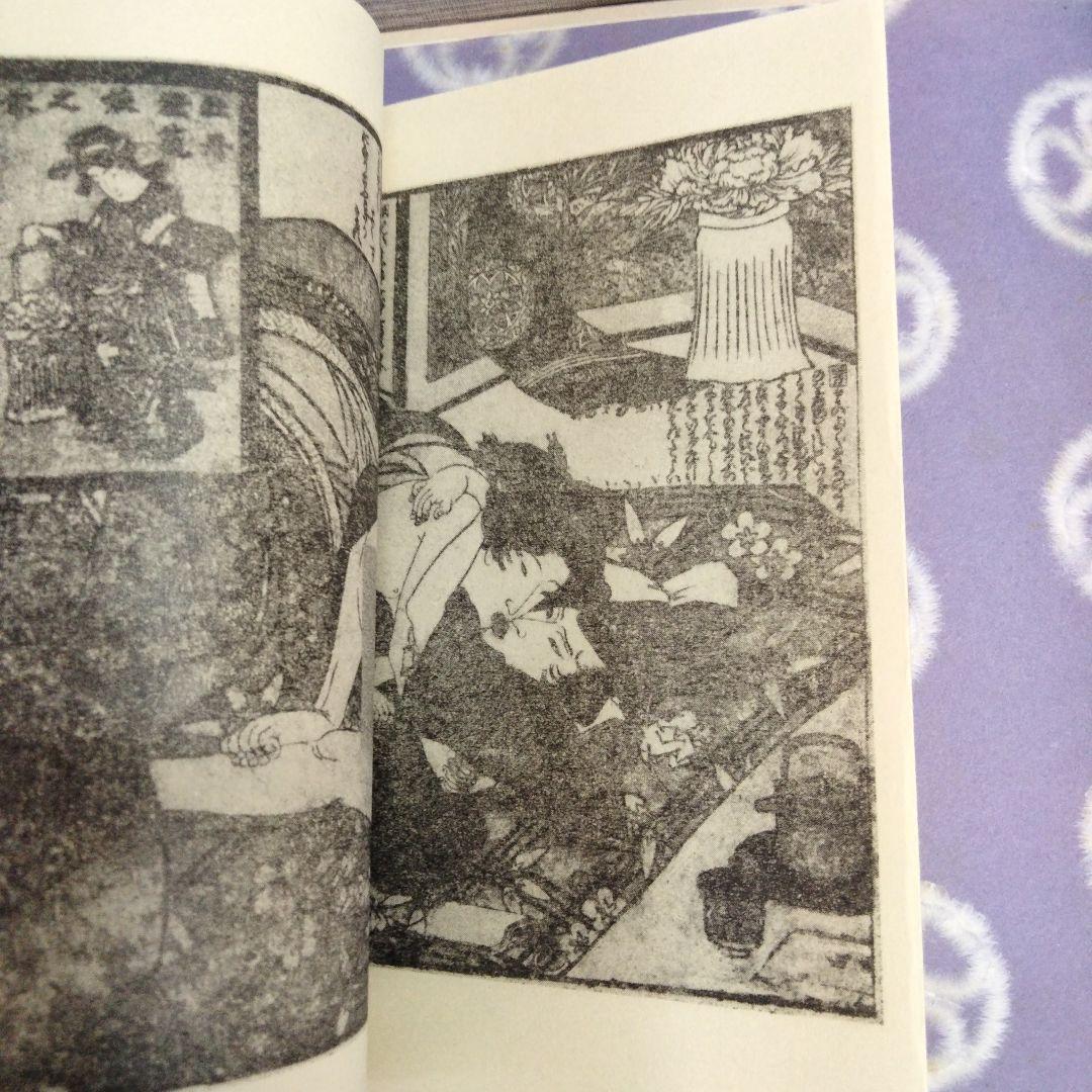 江戸 仕掛本 べらぼう 春画 - メルカリ