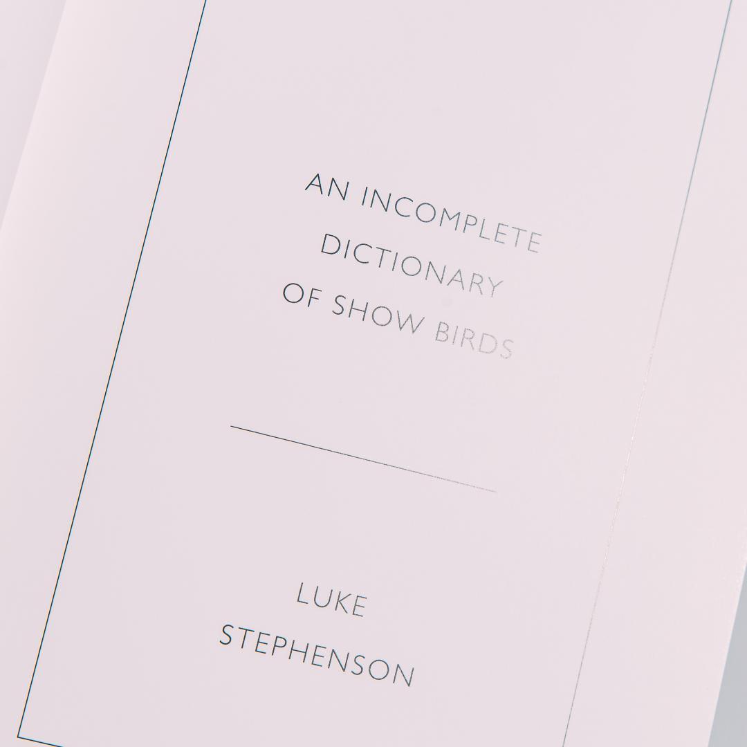 【美品】Luke Stephenson 作品集【希少本】