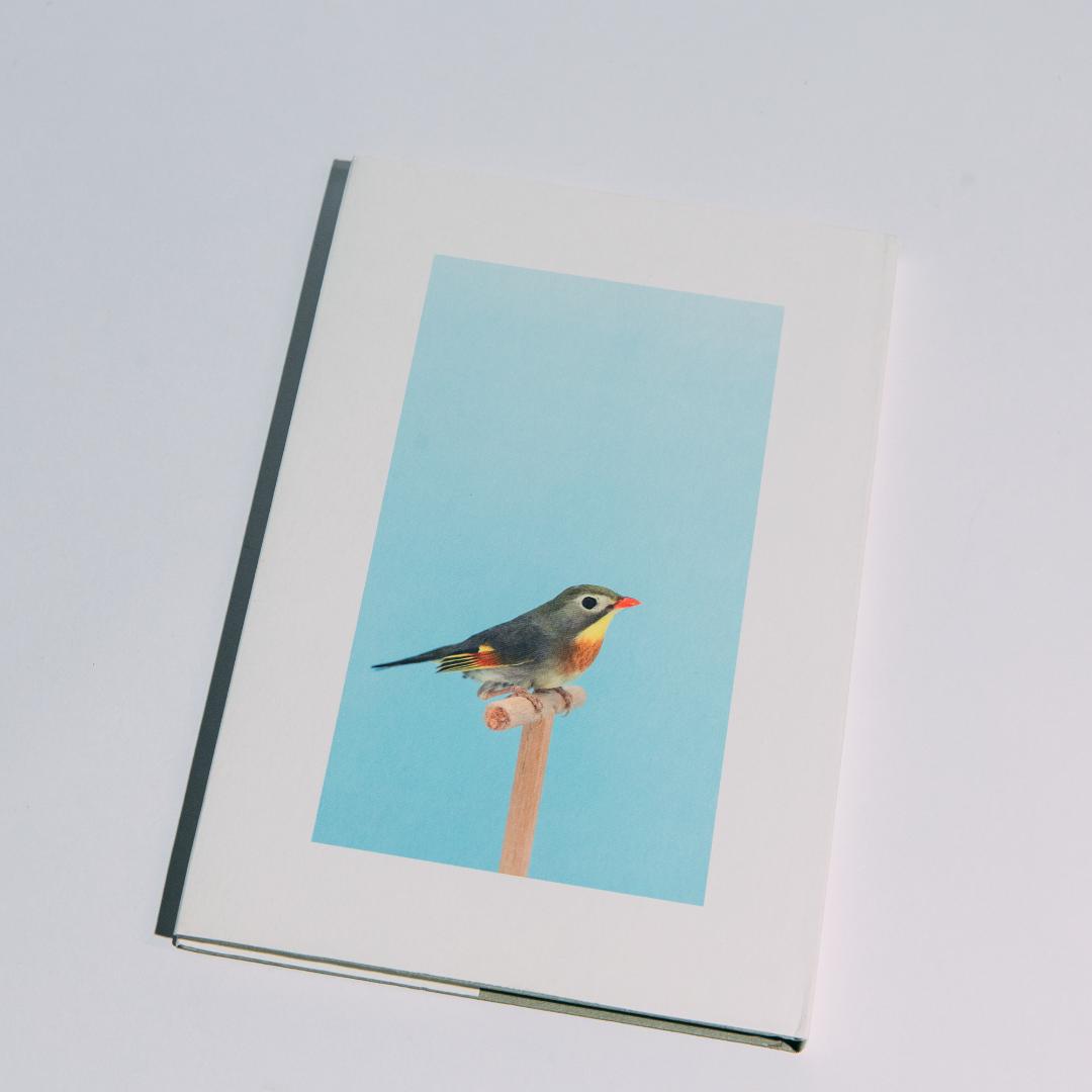 【美品】Luke Stephenson 作品集【希少本】