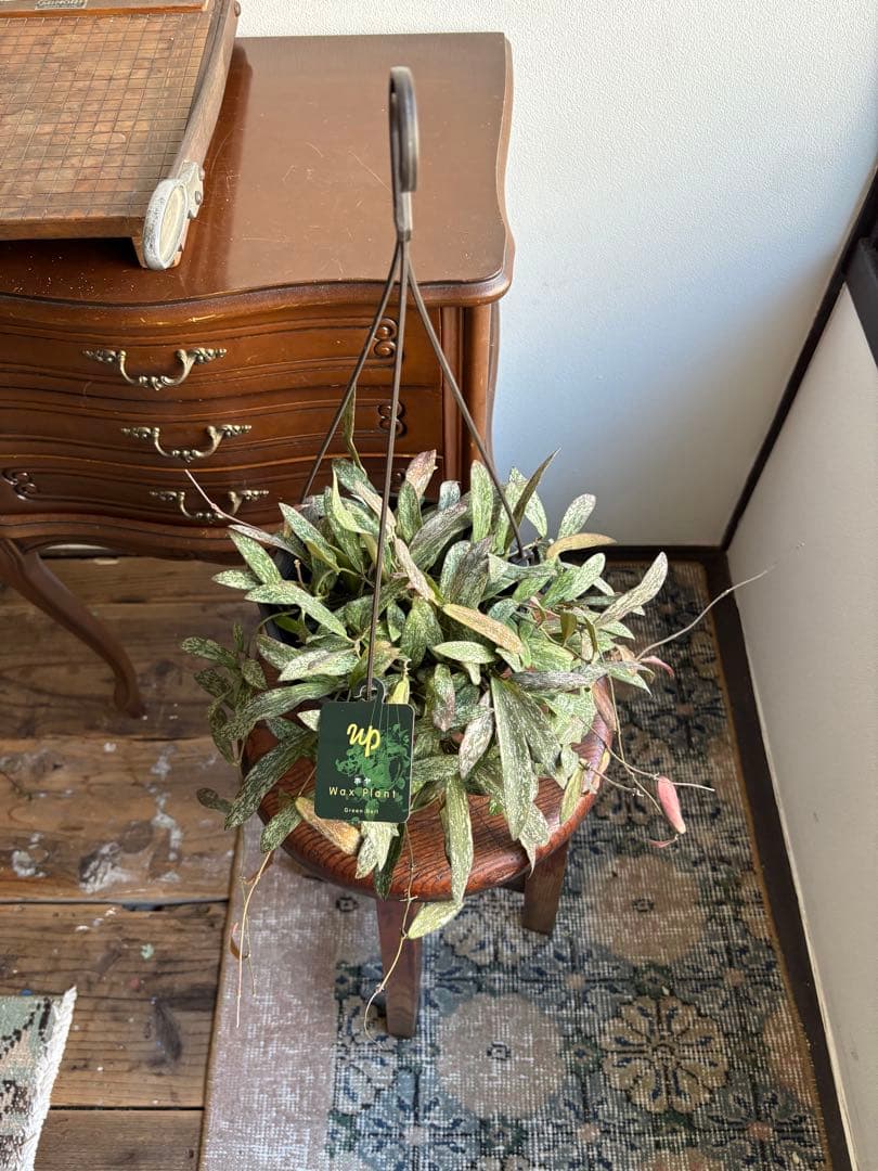 さちママ 2点同梱