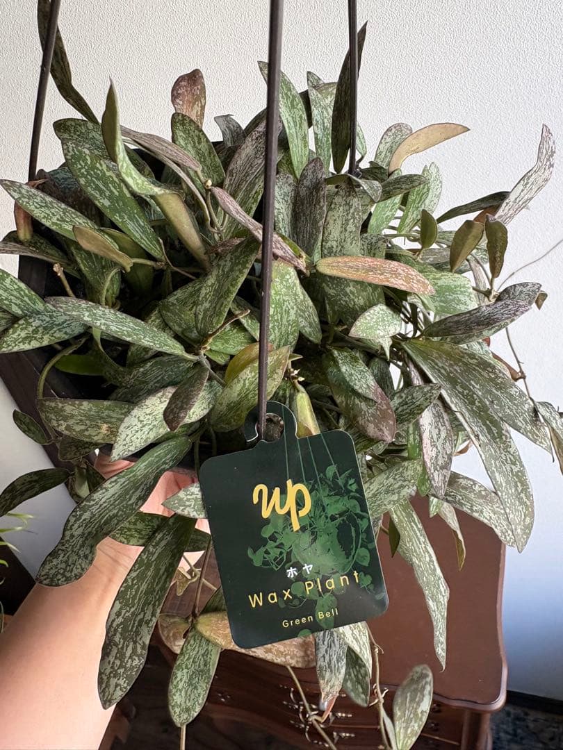 さちママ 2点同梱