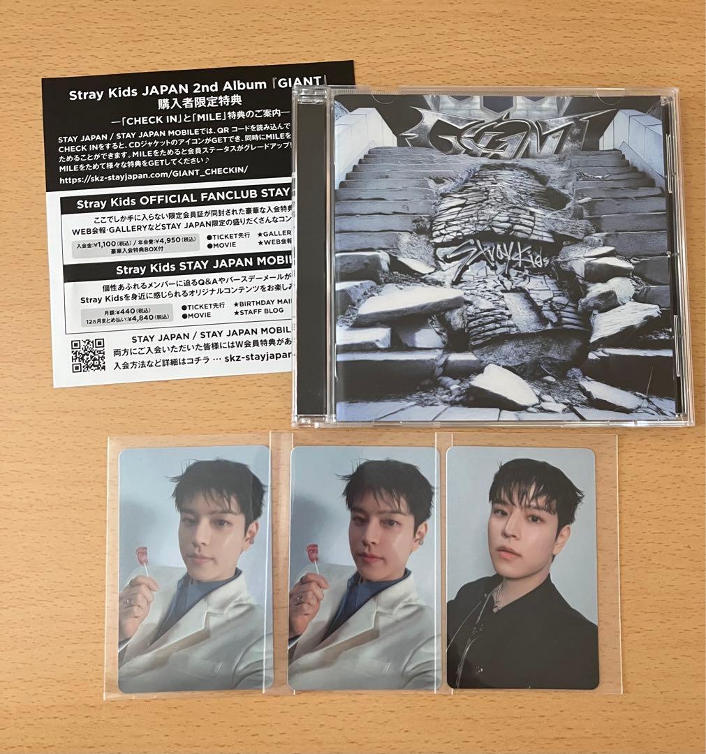 straykids スキズ GIANT マイルQR未使用 スンミン - メルカリ