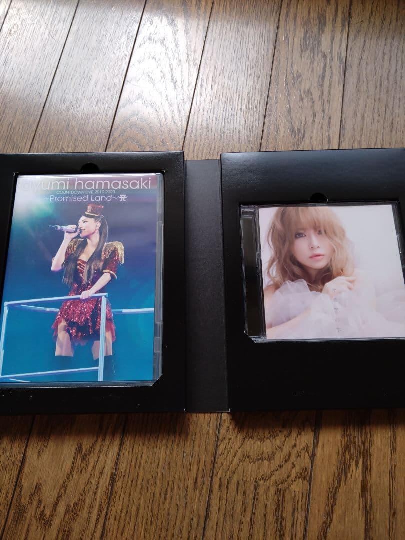 浜崎あゆみ Promised Land TA限定盤 オーロラクリアトートバッグ