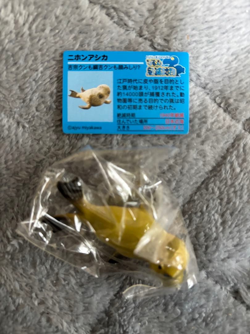 戦え絶滅動物PART2 宮川アジ ドードー マンモス オオカミ アシカ