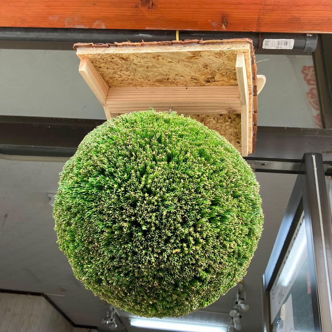 杉玉【屋根付き】① - メルカリ