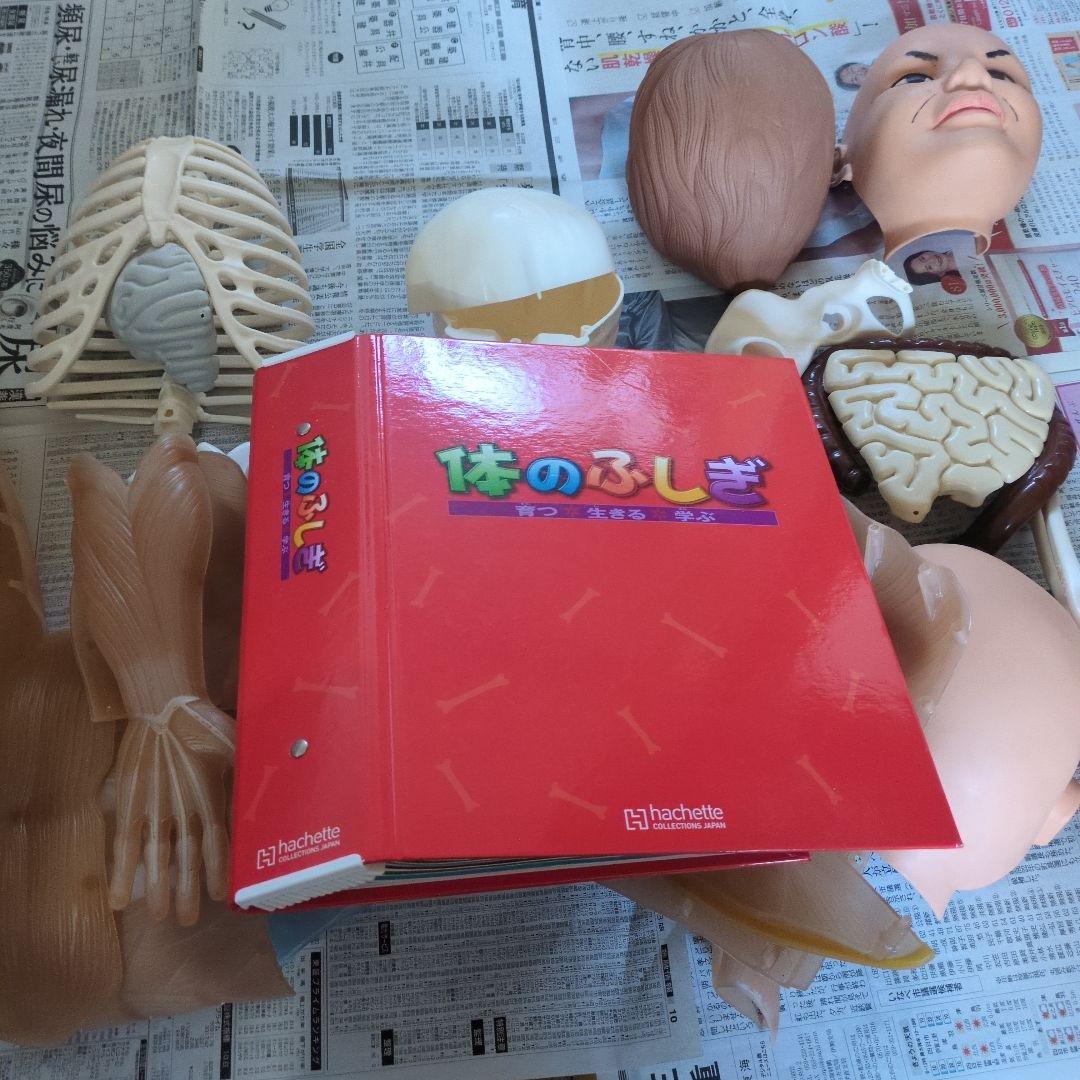 体のふしぎ 八冊セットとその他グッズ ジャンプフェスタ2026】アニメ『3年Z組銀八先生』の事後通販スタート