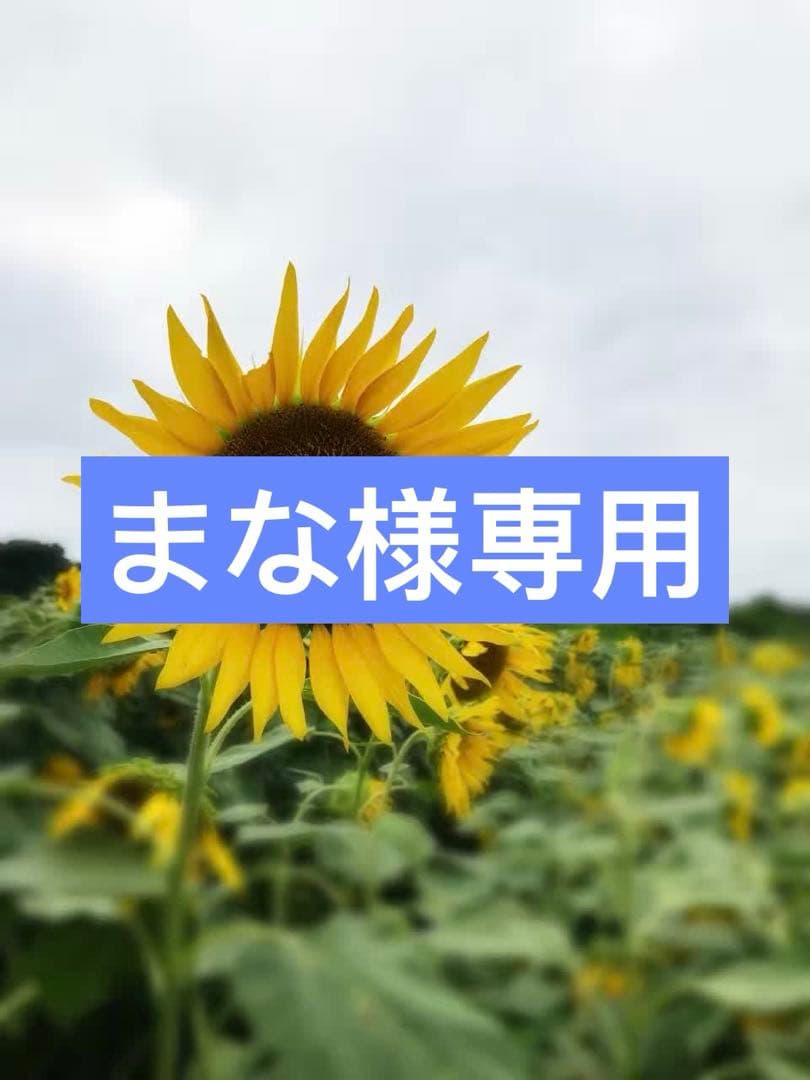 英語絵本24冊 CTP絵本 Learn to Read 24冊セット ＜レベル2-1＞ | 英語教材のctm