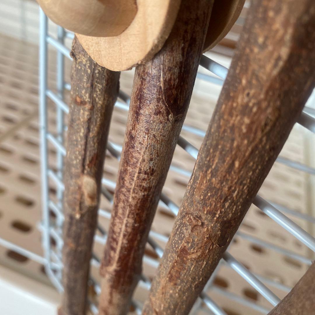 サンコー うさぎケージ 80 キャスター付き ホワイトケージ かじり棒