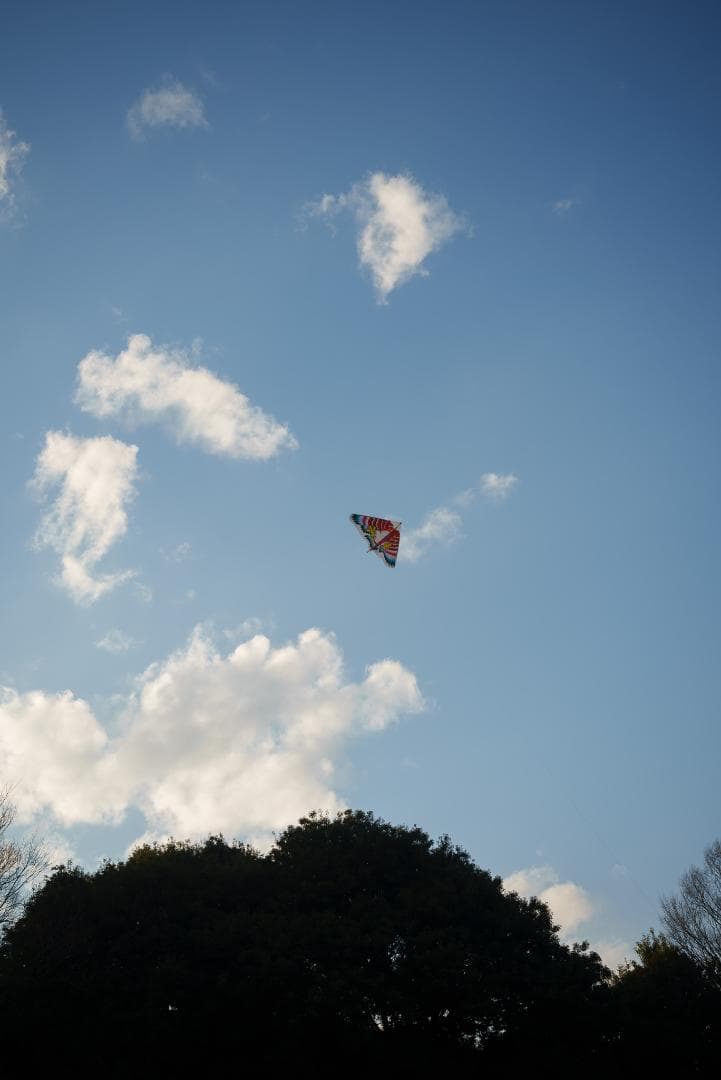 虹色シャワー！東京光学 Topcor 50mm F3.5 オールドレンズ - メルカリ