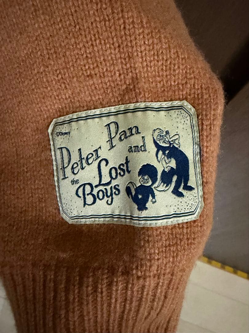 ZARA ディズニー ナナ ピーターパン セーター ハリーランバート M