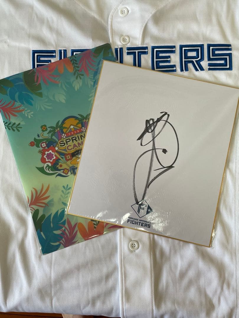 日本ハムファイターズ 西川遥輝 直筆サイン色紙 - メルカリ