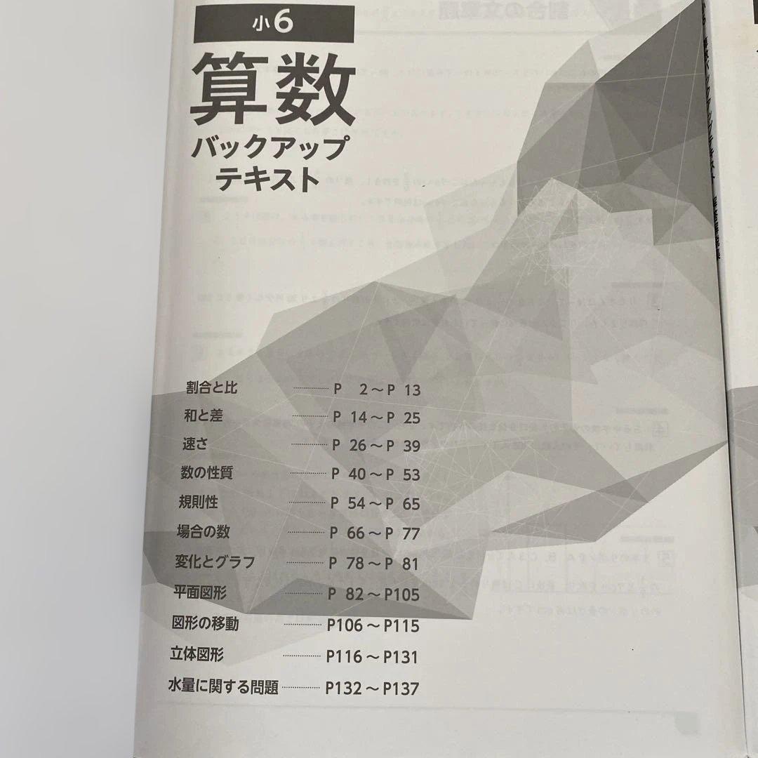 早稲田アカデミー 小6 算数 バックアップテキスト 解答集付き - メルカリ