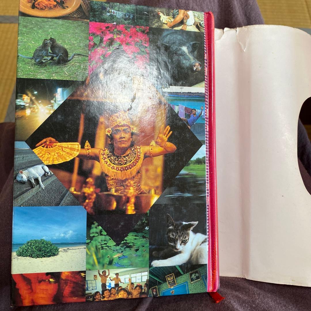 【希少・絶版】スピリチュアルの名著　カミ・コメ・ツチ・ヒト 北川恵子アーリオーン