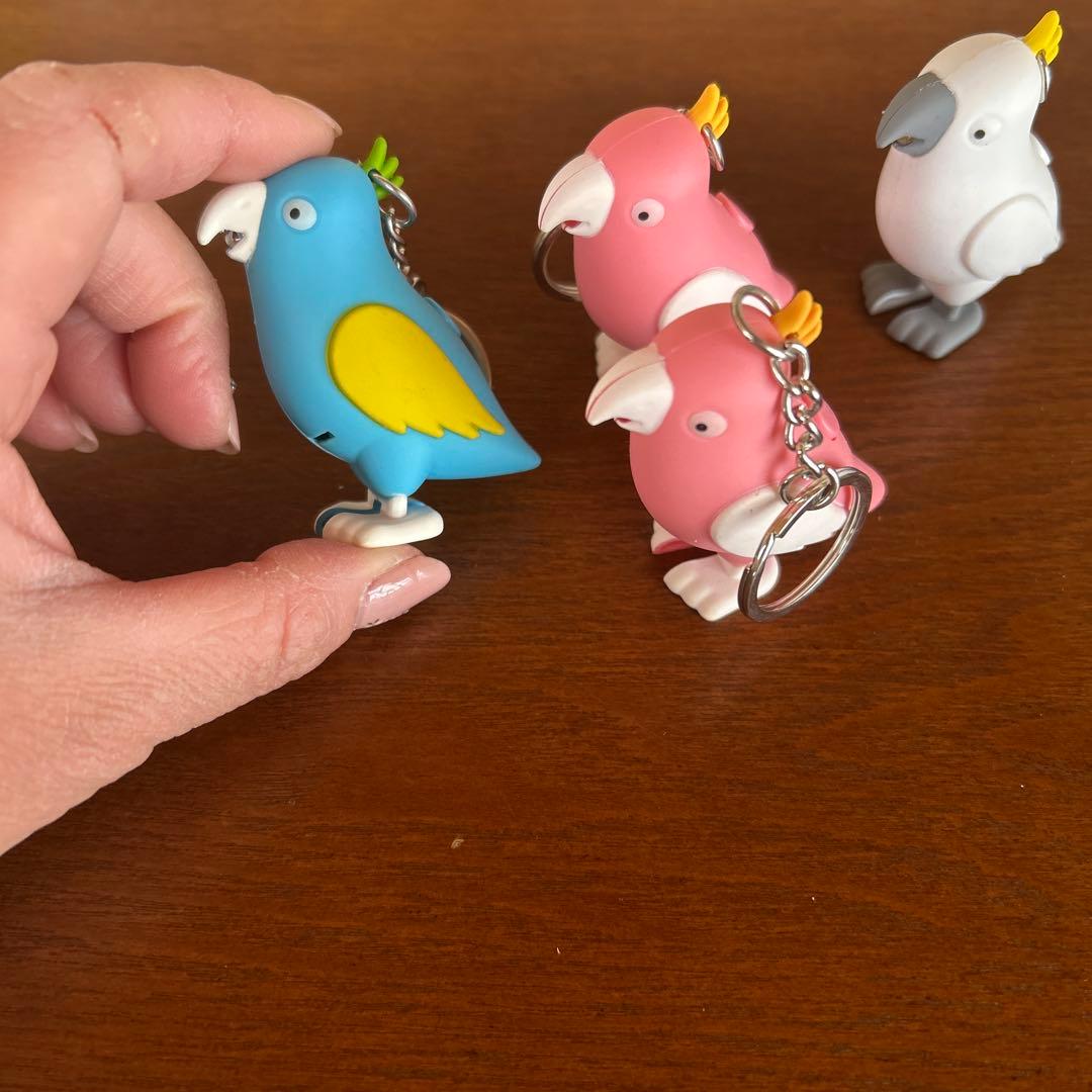 カラフルな鳥のキーホルダー4個セット - メルカリ