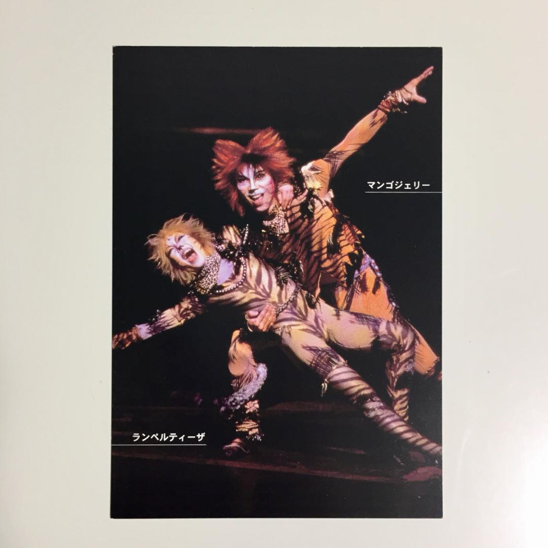 劇団四季 CATS キャッツ ポストカード - メルカリ