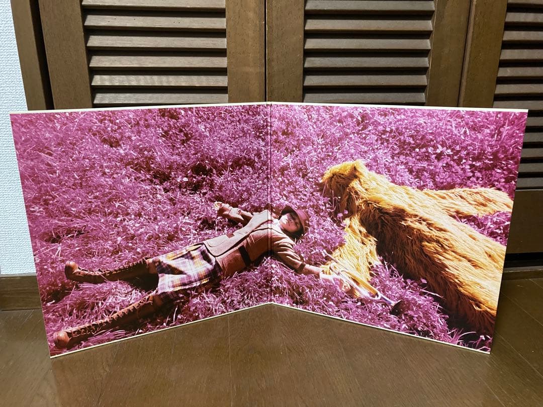 スピッツ 一期一会 レコード アナログ盤 LP盤 レア物