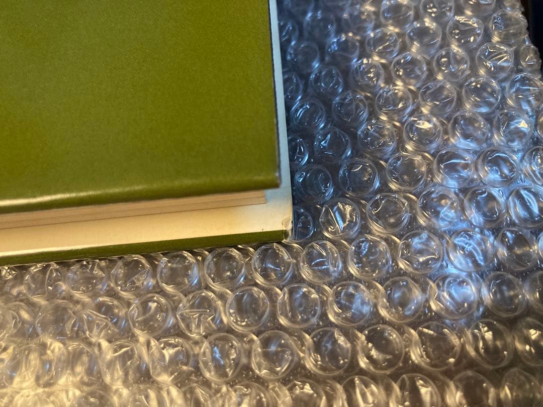 洋書 A Double Singleness