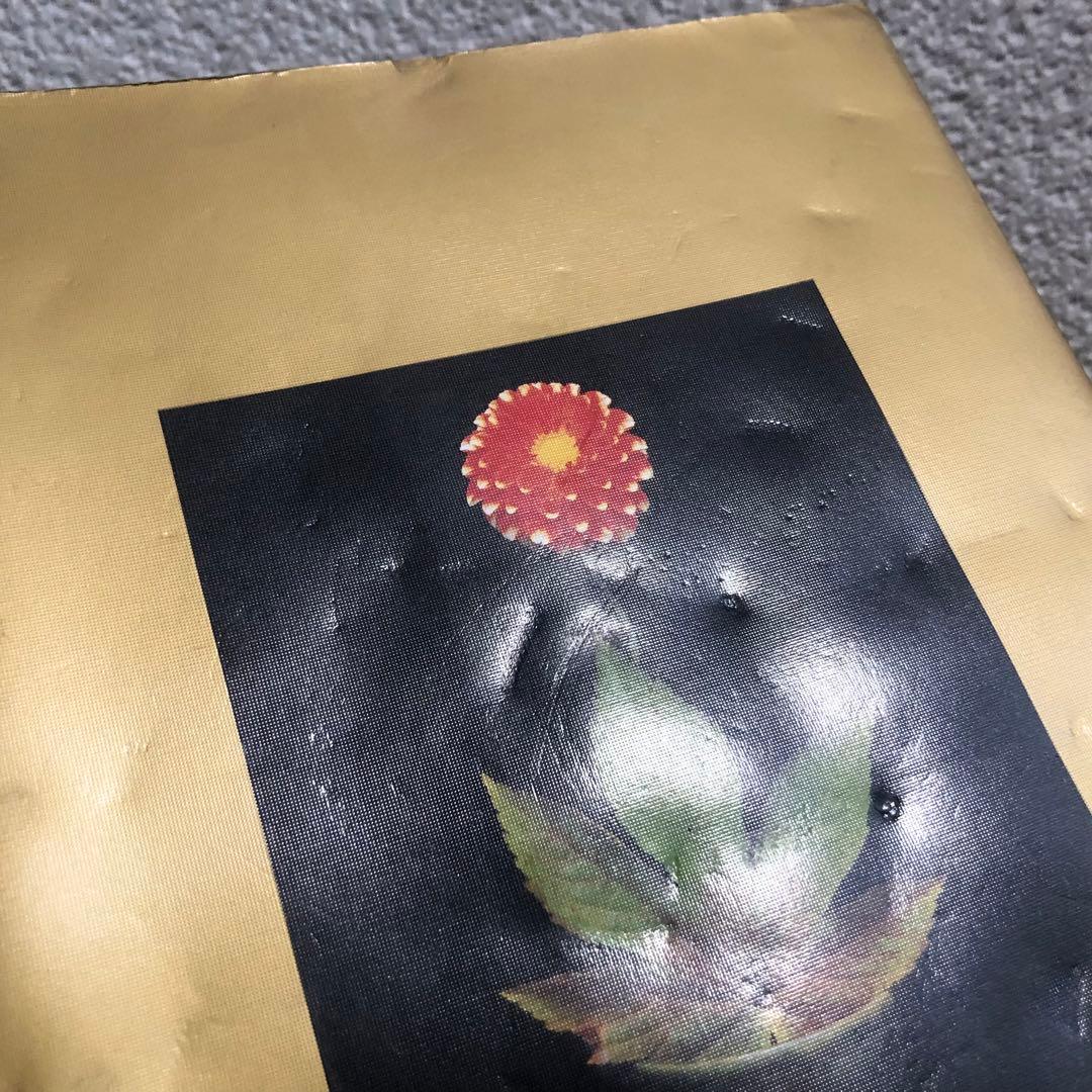 小さないけばな 春夏秋冬 全4巻セット 勅使河原霞