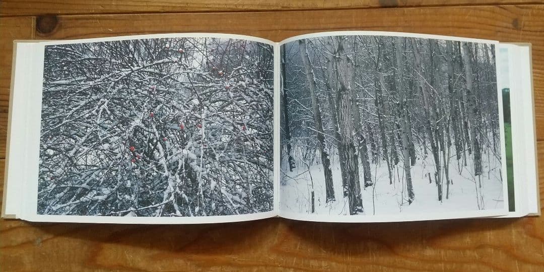 The Meadow Eschenau 1986-2013 tamiser購入