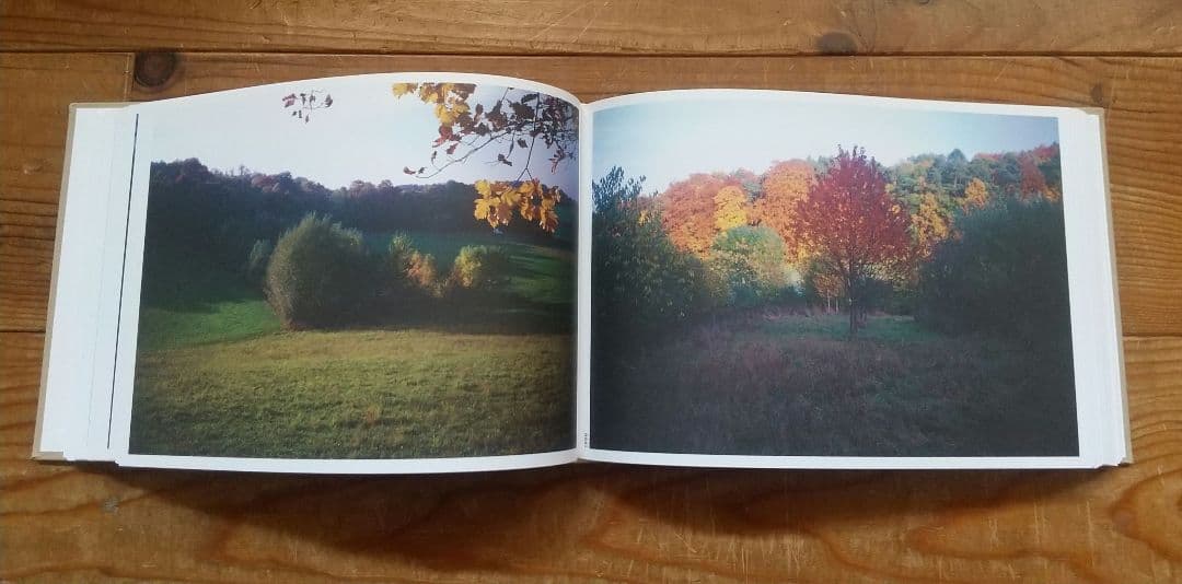 The Meadow Eschenau 1986-2013 tamiser購入