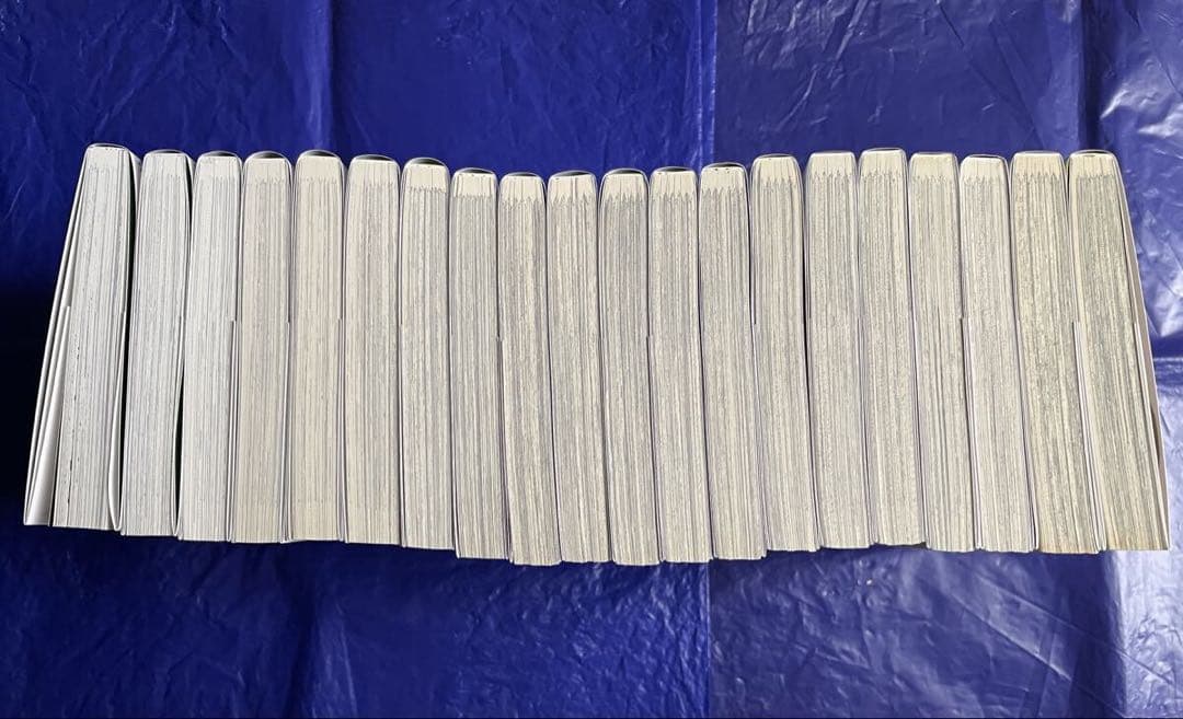 29歳独身中堅冒険者の日常 1～21巻セット 全巻初版帯付 特典付 奈良