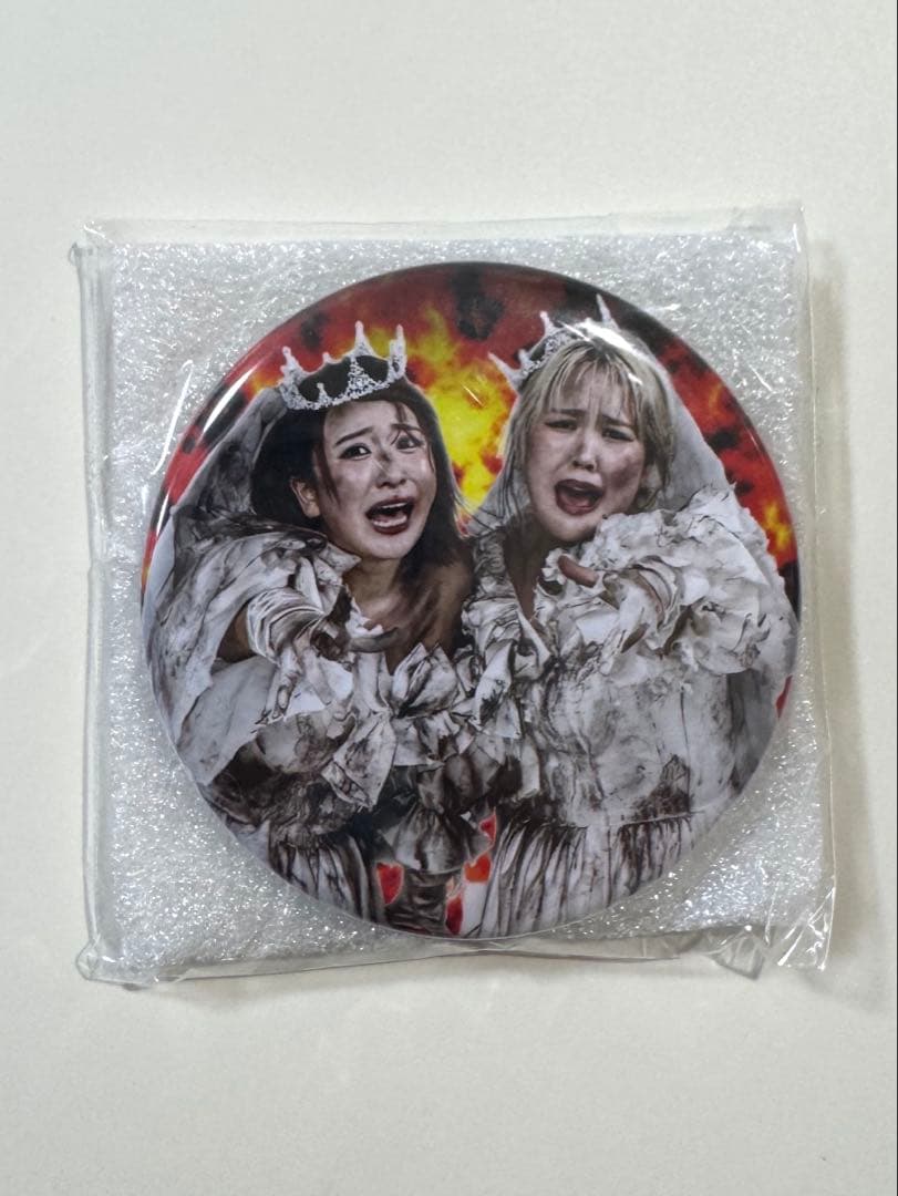 平成フラミンゴ[助け展] 缶ミラーバッジ - メルカリ