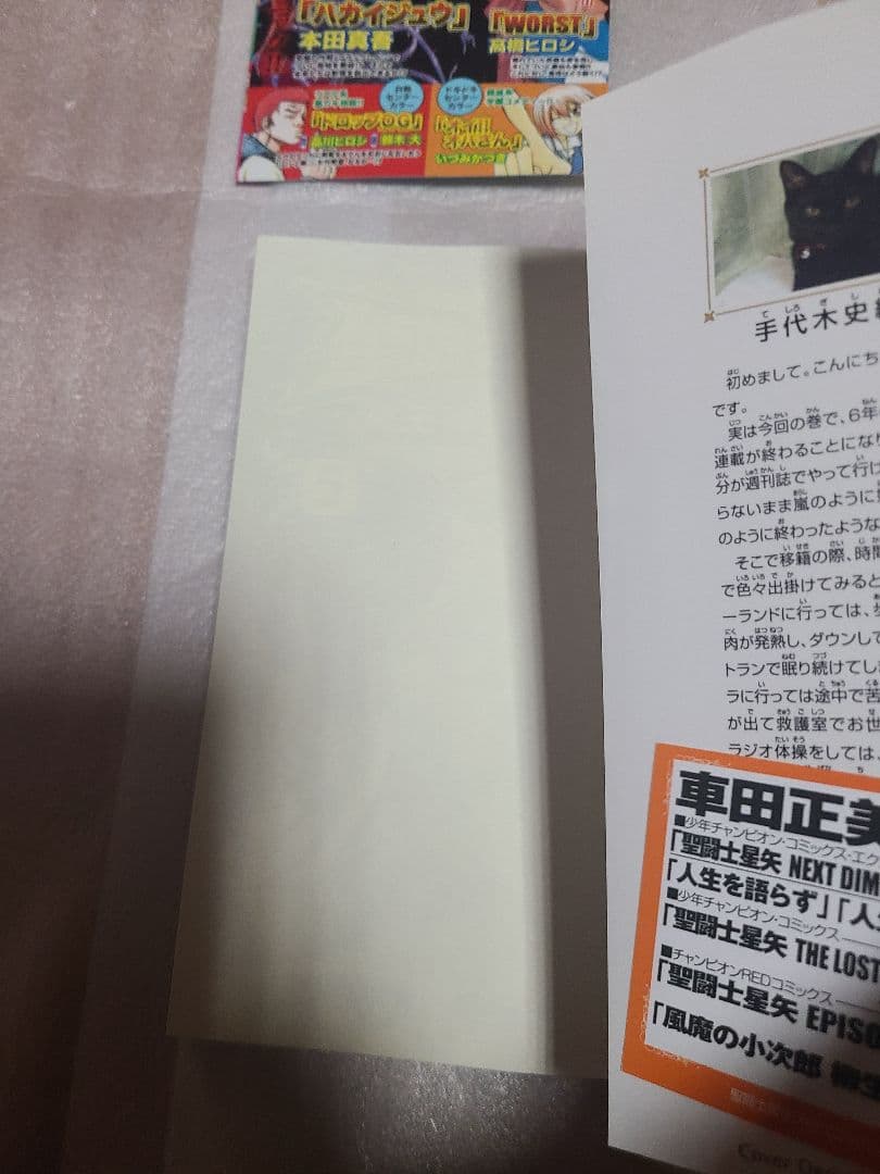 聖闘士星矢ロストキャンバス カプリコーン アニメイト 特典 ペーパー