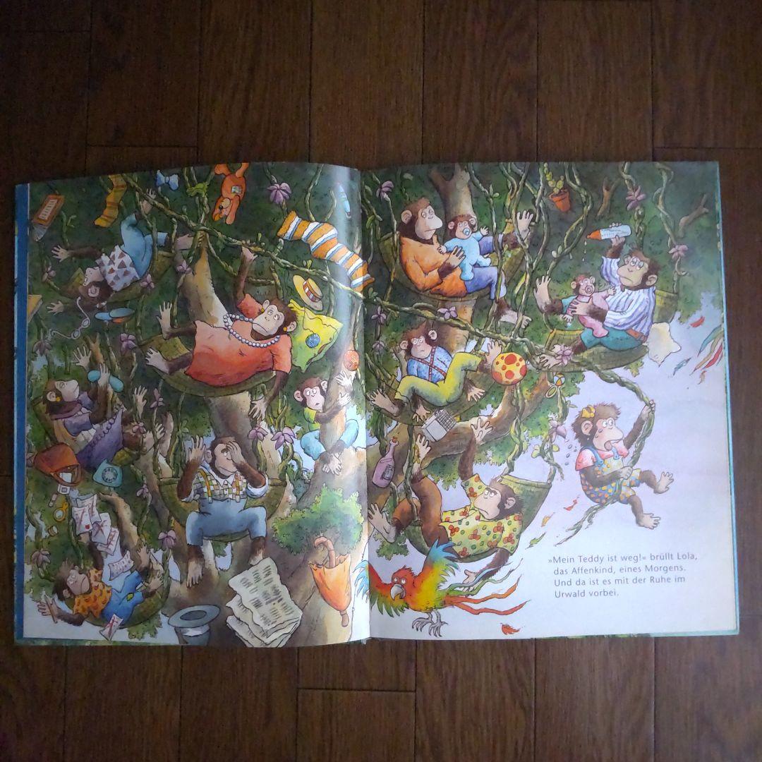 Mein Teddy ist weg! Ein suchbilderbuch