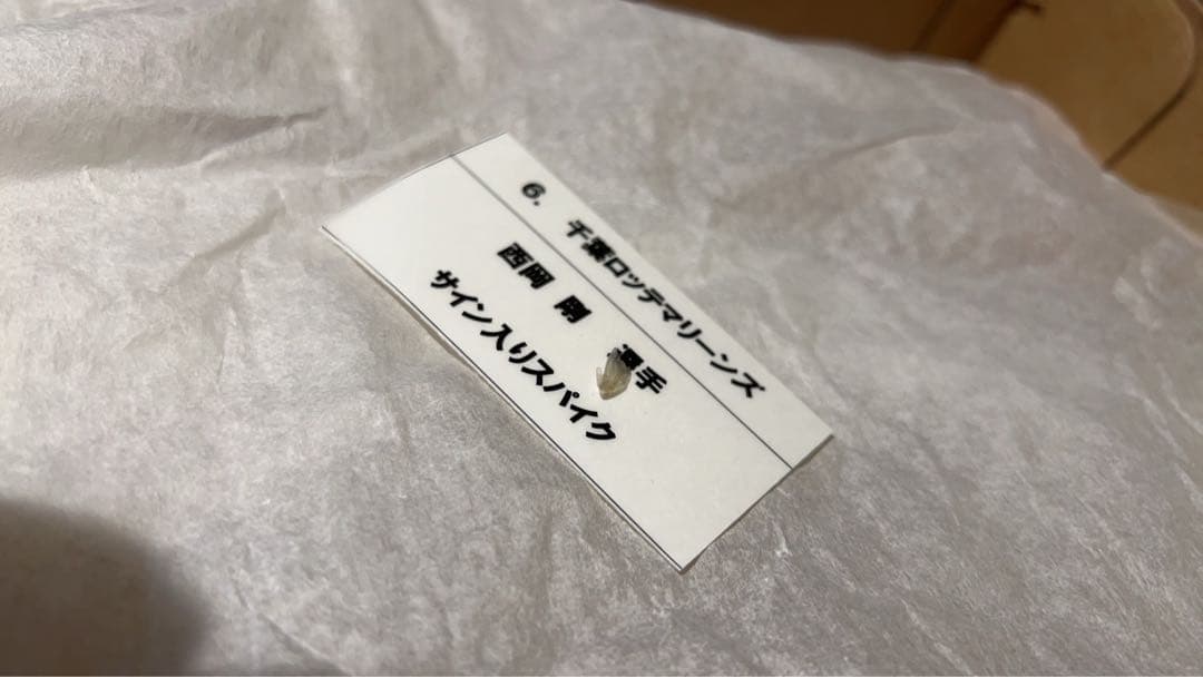 西岡剛 ロッテ時代支給品スパイク サイン入り - メルカリ