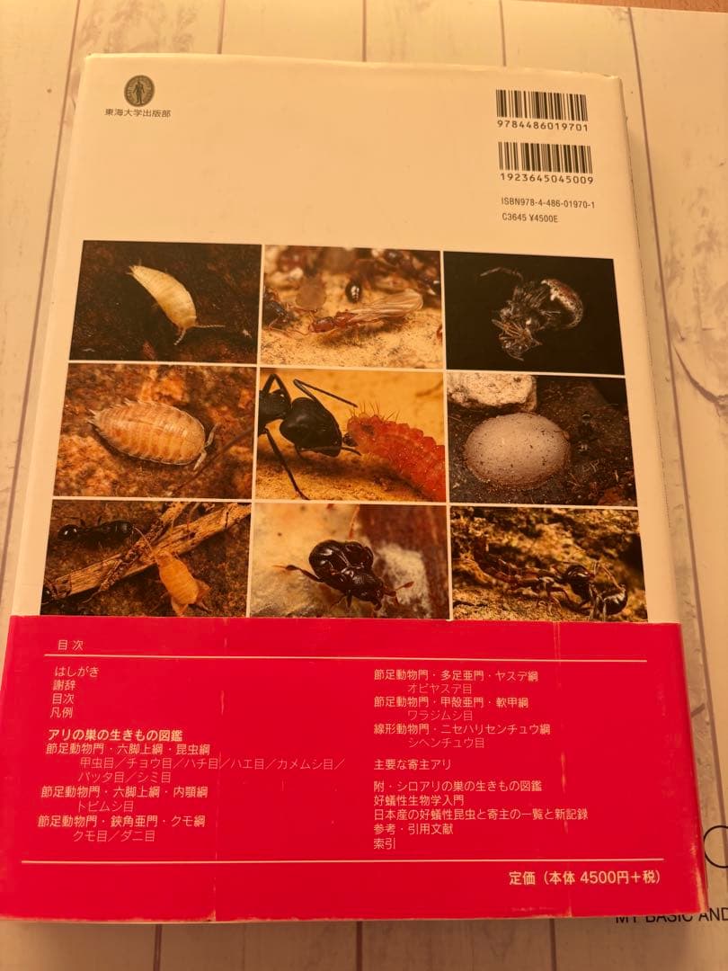 アリの巣の生きものの図鑑 - メルカリ