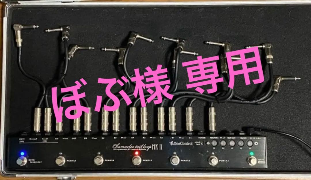 One Control Chamaeleo Tail Loop MKII 付属有 One Control Chamaeleo Tail Loop MKIII スイッチャー ワン
